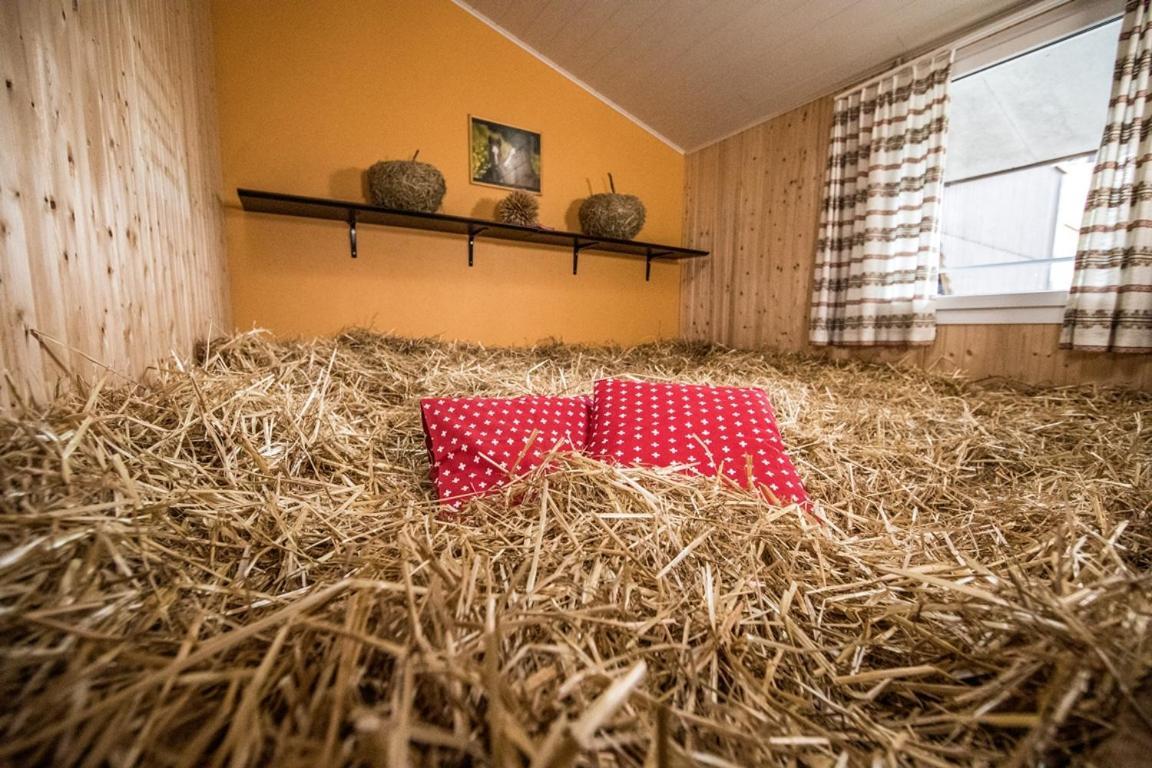 Hof-Tschannen Lengwil Luaran gambar