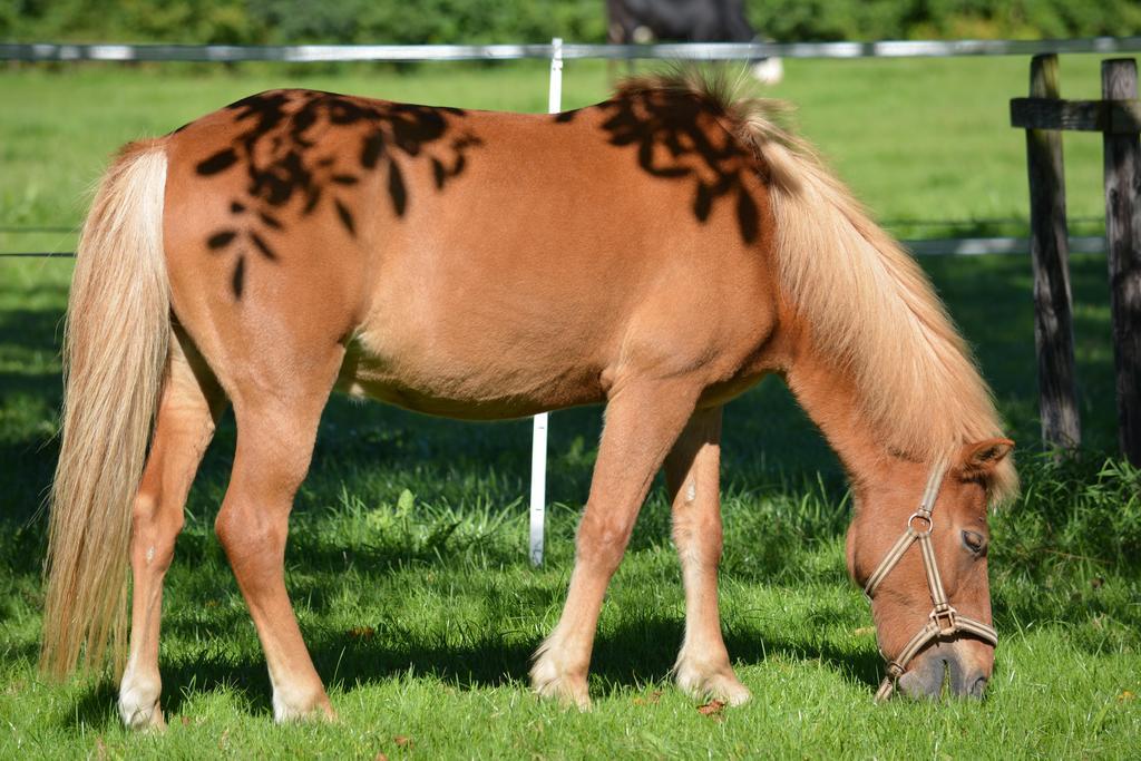 Hof-Tschannen Lengwil Luaran gambar